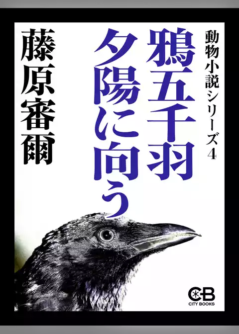 鴉五千羽夕陽に向う