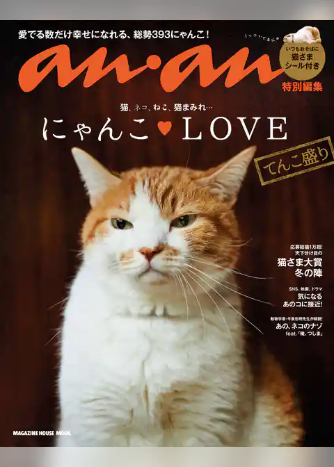 anan特別編集 にゃんこＬＯＶＥ てんこ盛り
