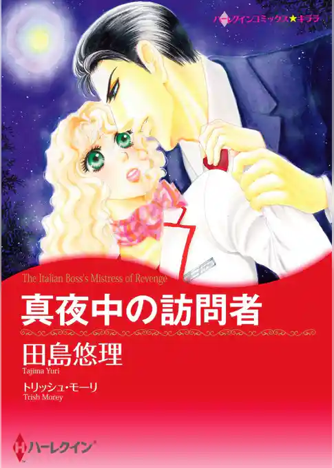 真夜中の訪問者【分冊】