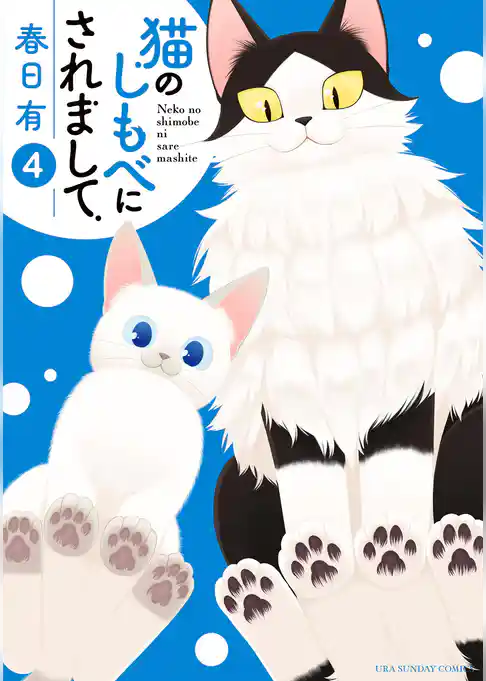 猫のしもべにされまして