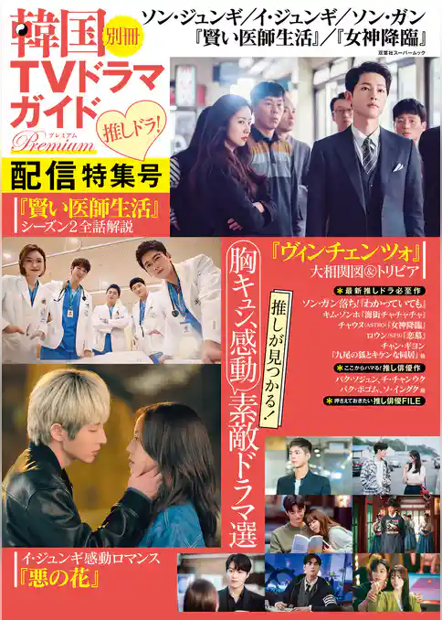 韓国TVドラマガイド別冊プレミアム　推しドラ！配信特集号
