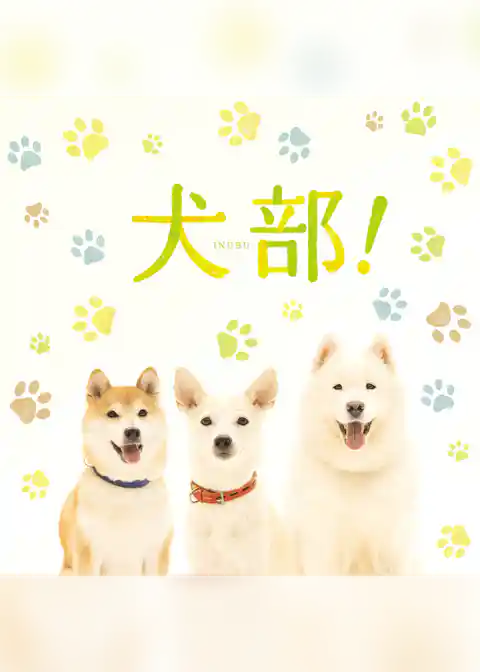 映画「犬部！」劇場パンフレット