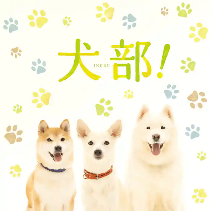 映画「犬部!」劇場パンフレット