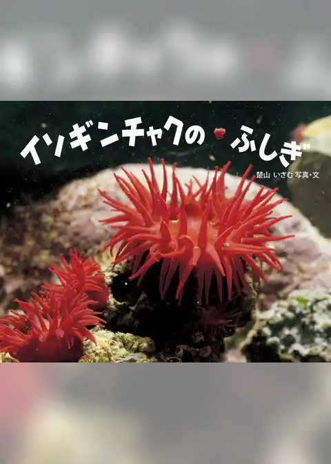 イソギンチャクのふしぎ