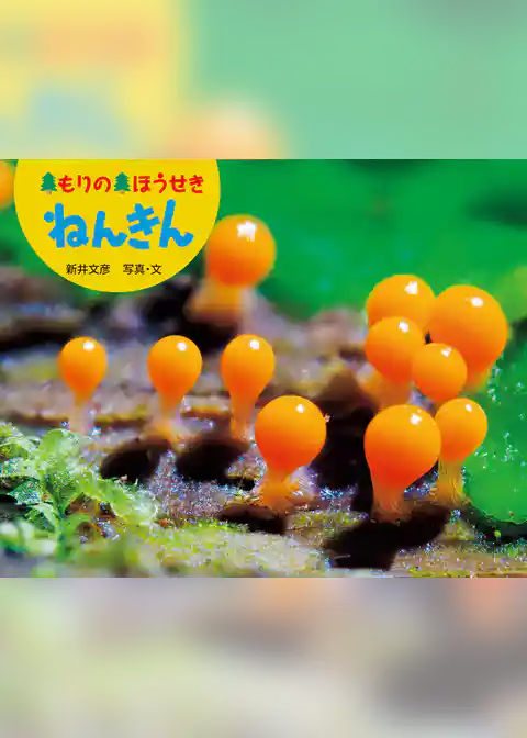 もりの　ほうせき　ねんきん