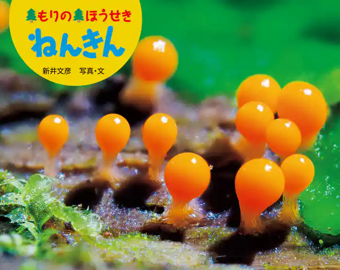 もりの ほうせき ねんきん