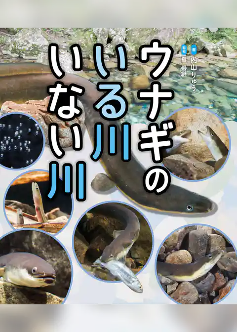 ウナギのいる川いない川