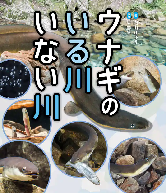 ウナギのいる川　いない川