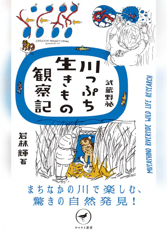 ヤマケイ新書 武蔵野発 川っぷち生きもの観察記