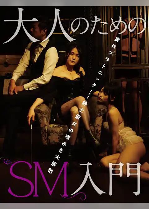 大人のためのSM入門