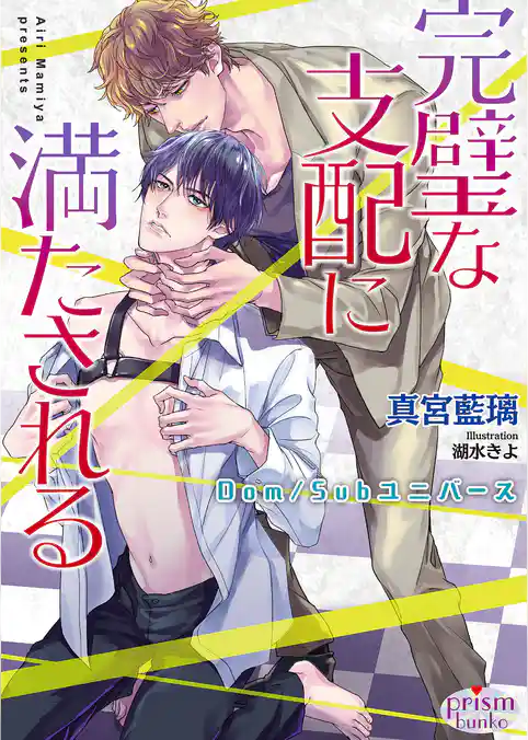 完璧な支配に満たされる Dom/Subユニバース【電子限定特典付】