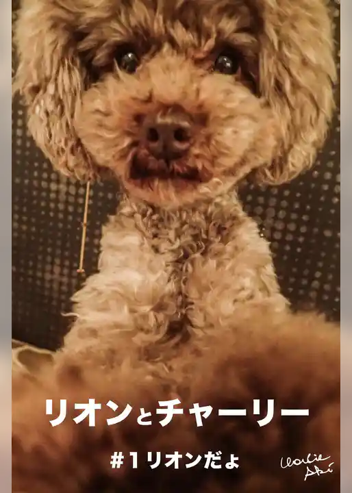 リオンとチャーリー #1リオンだょ