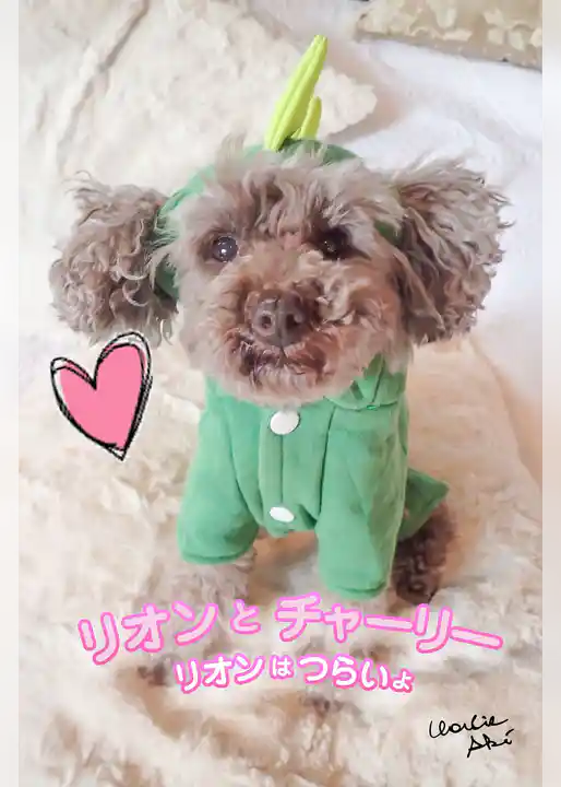リオンとチャーリー #2リオンはつらいょ