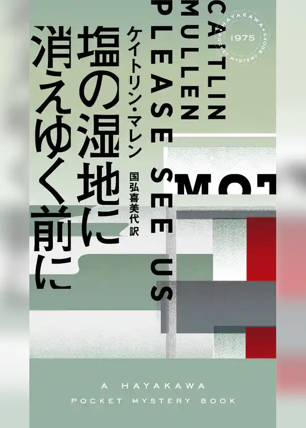 塩の湿地に消えゆく前に