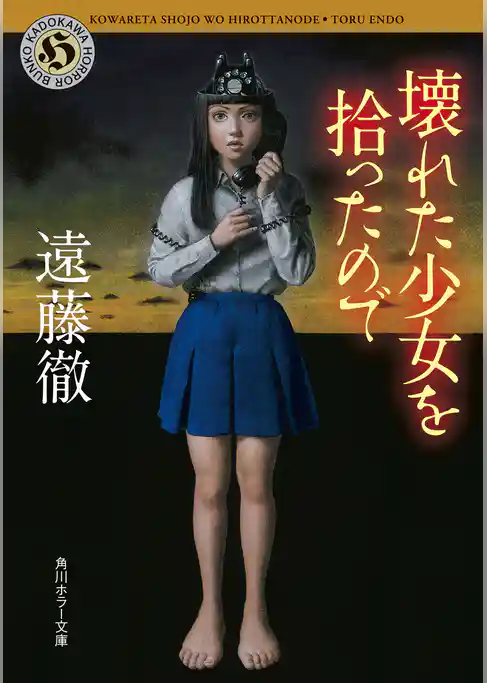 壊れた少女を拾ったので