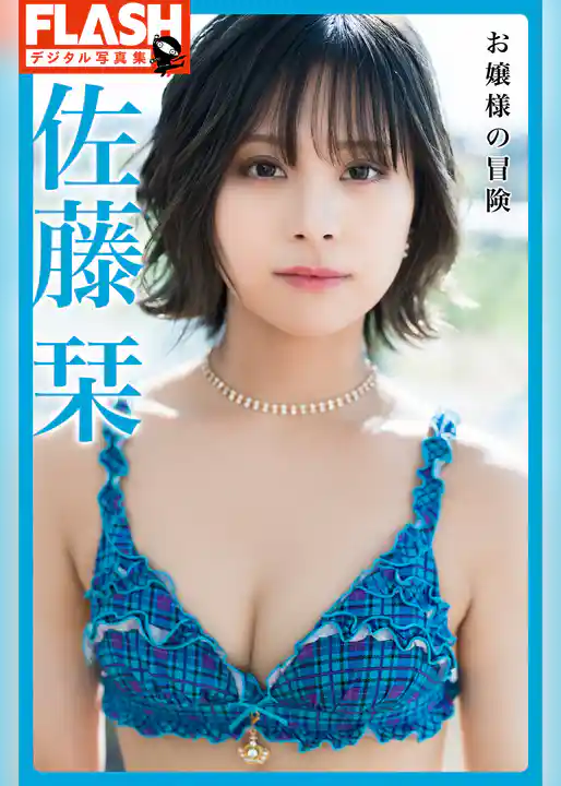 FLASHデジタル写真集　佐藤栞　お嬢様の冒険