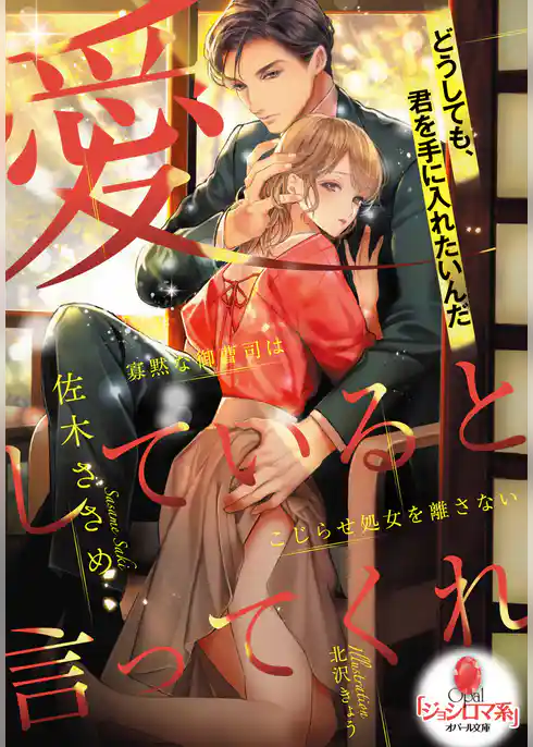 愛していると言ってくれ　寡黙な御曹司はこじらせ処女を離さない