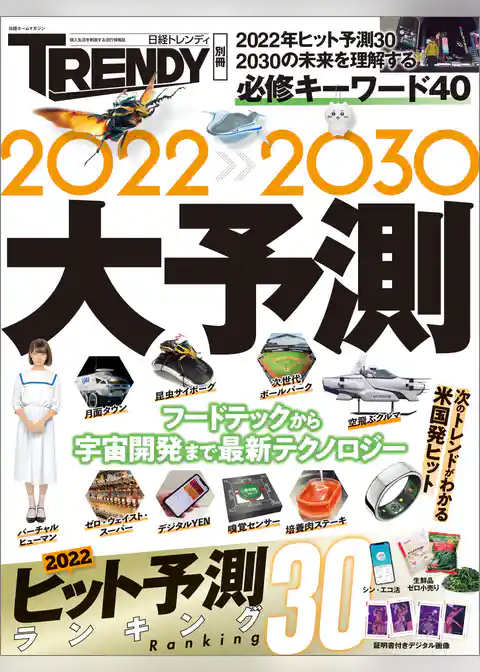 2022-2030 大予測