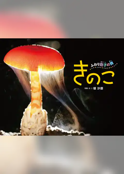 きのこ　ふわり胞子の舞