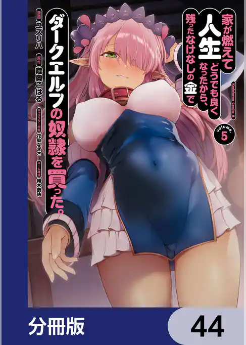 家が燃えて人生どうでも良くなったから、残ったなけなしの金でダークエルフの奴隷を買った。【分冊版】