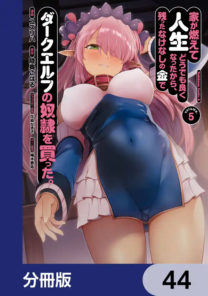 家が燃えて人生どうでも良くなったから、残ったなけなしの金でダークエルフの奴隷を買った。【分冊版】　44