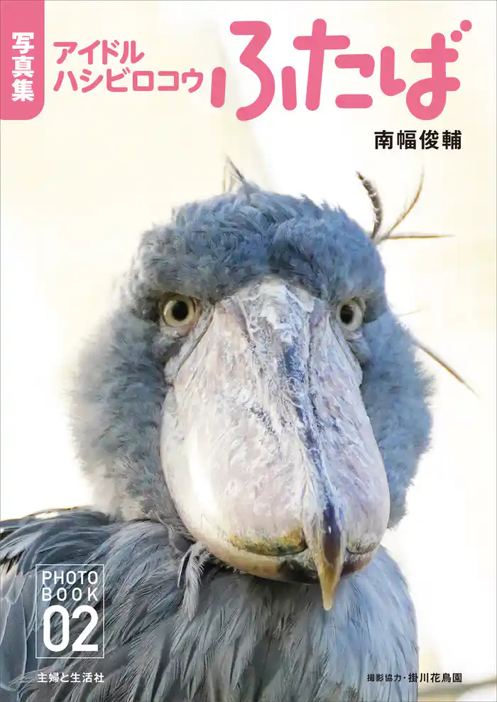 【デジタル写真集】アイドルハシビロコウ ふたば