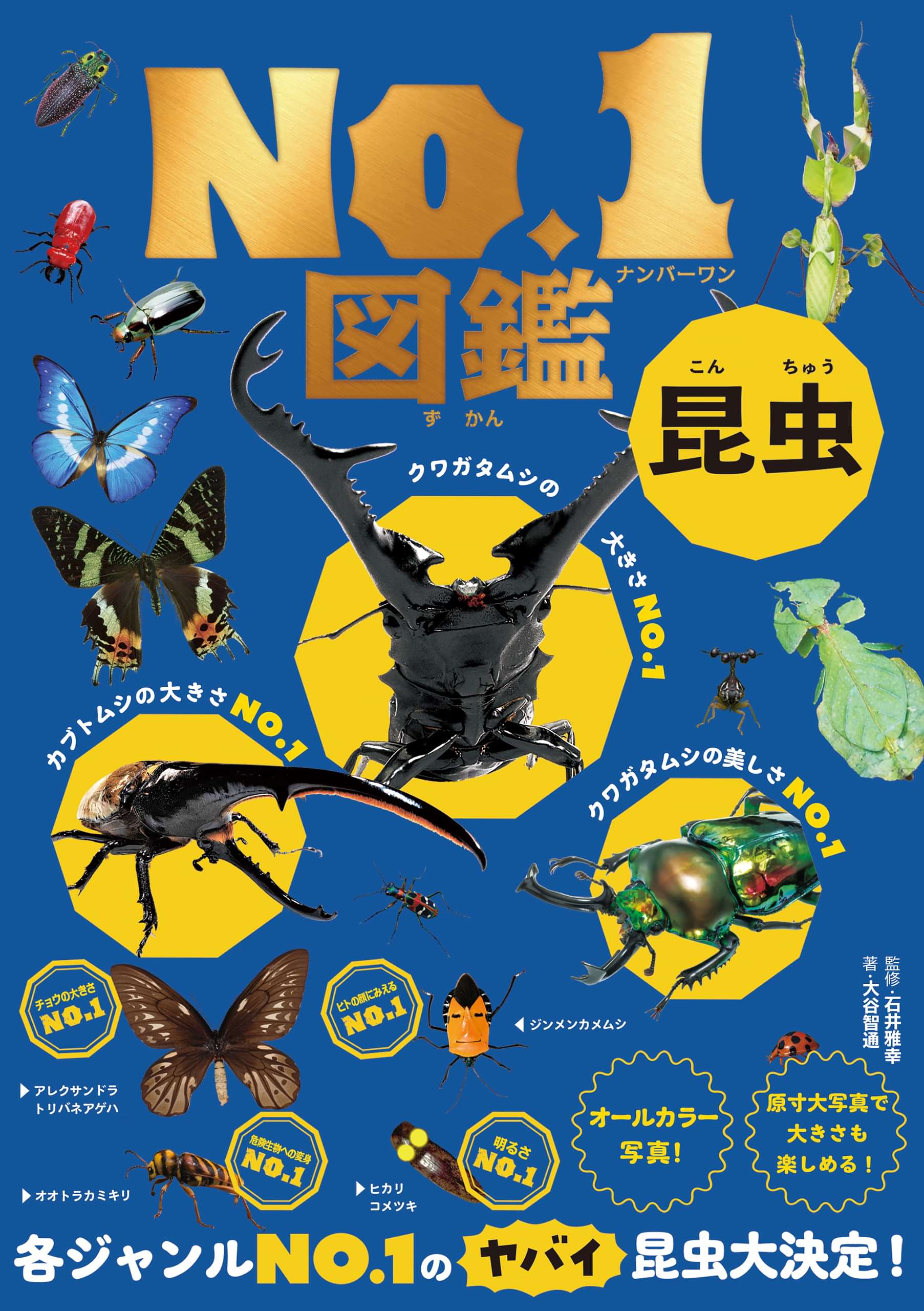 昆虫ｎｏ １図鑑 書籍 電子書籍 U Next 初回600円分無料