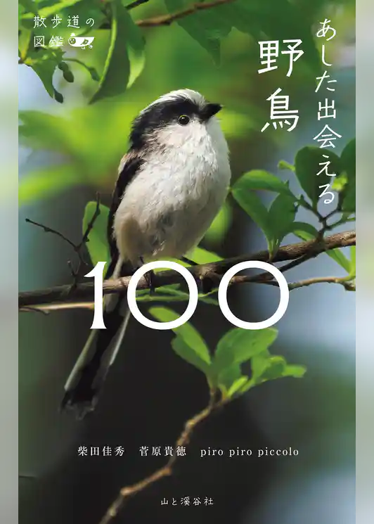 散歩道の図鑑 あした出会える野鳥100
