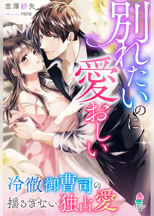 別れたいのに愛おしい～冷徹御曹司の揺るぎない独占愛～