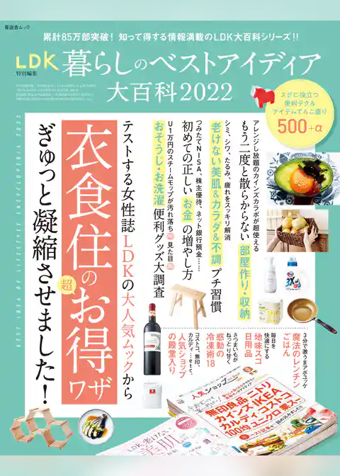晋遊舎ムック　暮らしのベストアイディア大百科 2022