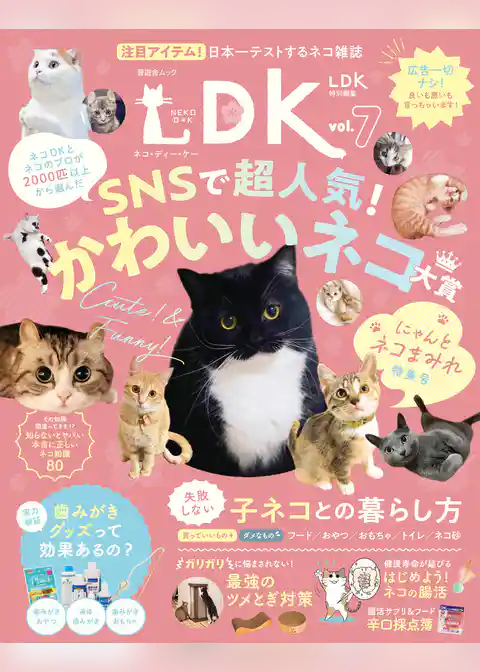 晋遊舎ムック　ネコDK vol.7