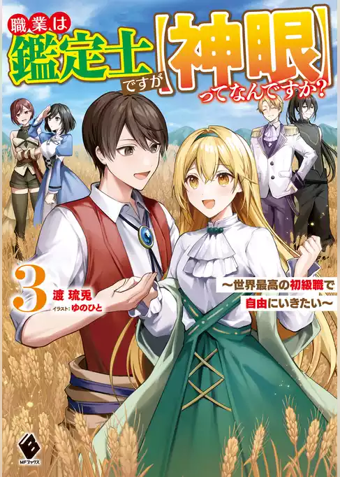 職業は鑑定士ですが【神眼】ってなんですか？　～世界最高の初級職で自由にいきたい～