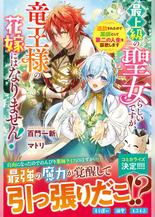 最上級の聖女らしいですが、竜王様の花嫁にはなりません！～追放されたので薬師として第二の人生を謳歌します～