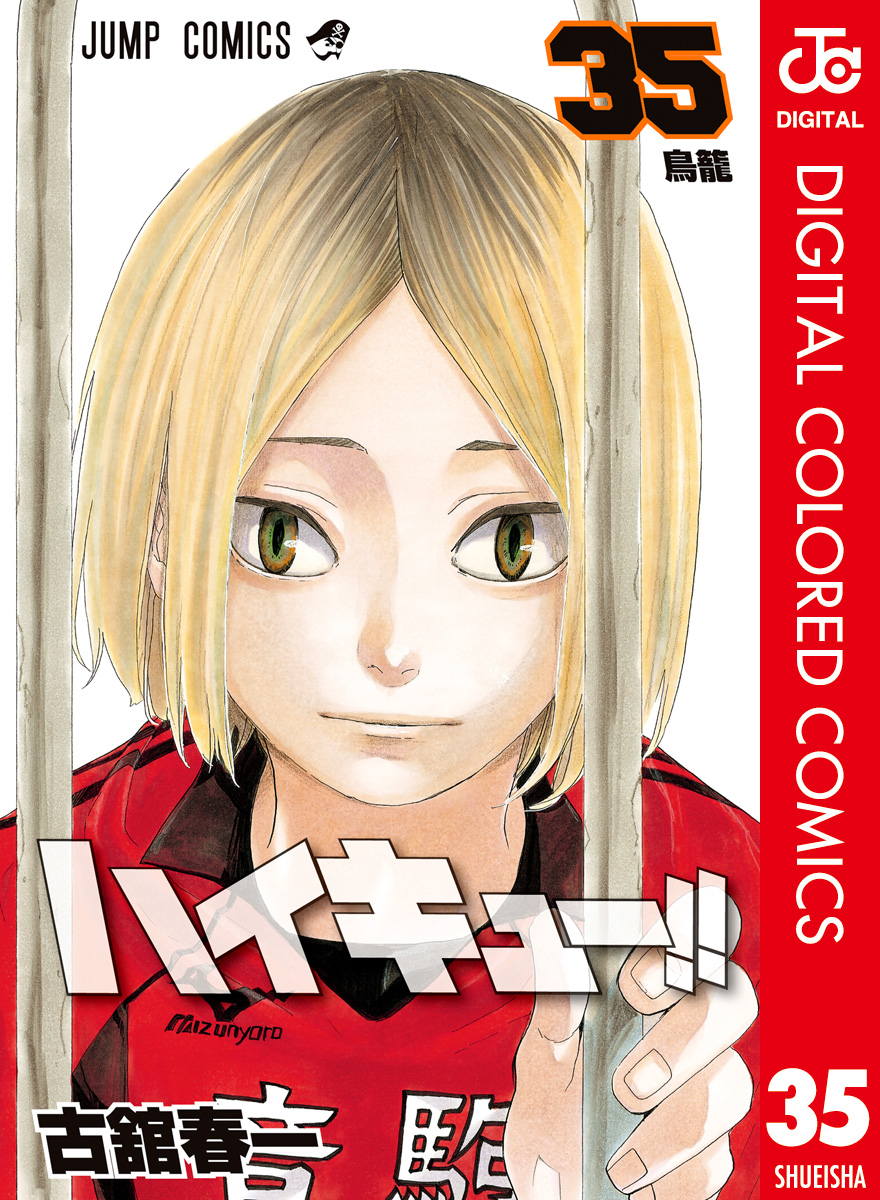 ハイキュー！！ カラー版 35(マンガ) - 電子書籍 | U-NEXT 初回600円分無料