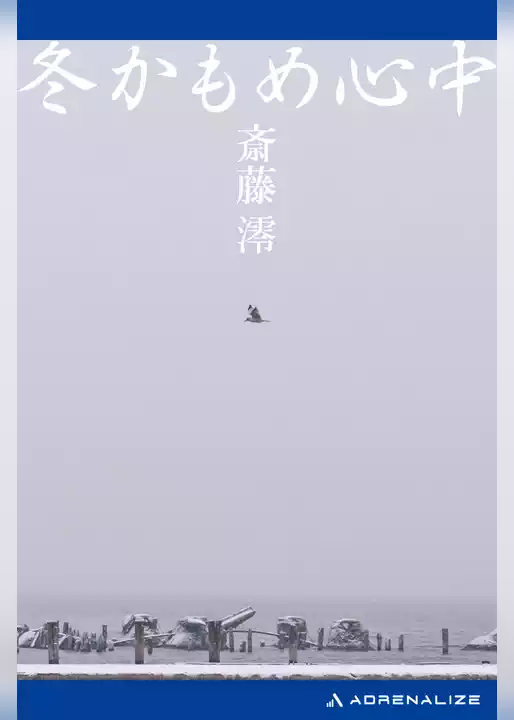 冬かもめ心中