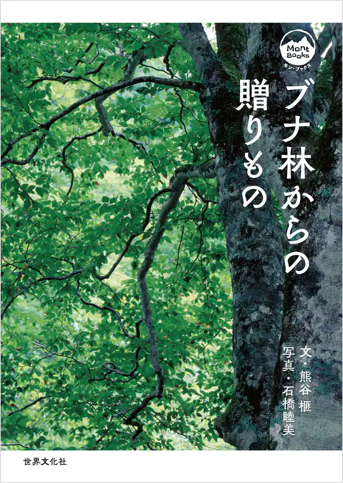 ブナ林からの贈りもの