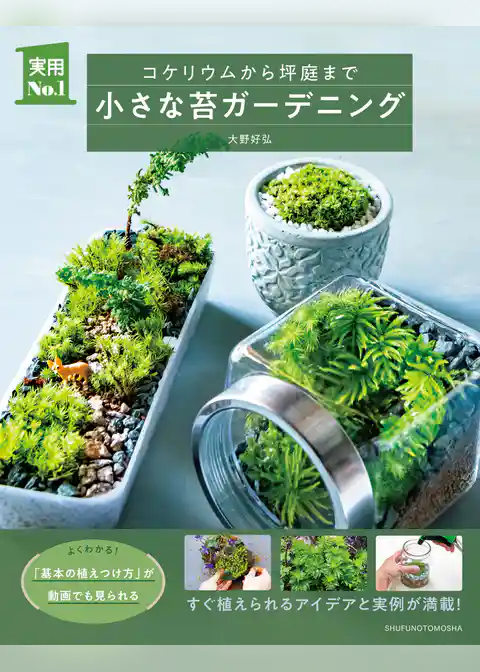 小さな苔ガーデニング