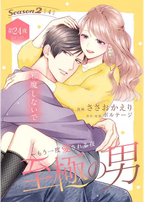 至極の男～もう一度愛される夜［ｃｏｍｉｃ　ｔｉｎｔ］　分冊版