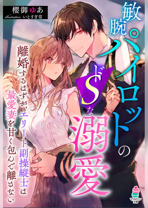 敏腕パイロットのドＳな溺愛～離婚するはずが、エリート副操縦士は最愛妻を甘く包んで離さない～