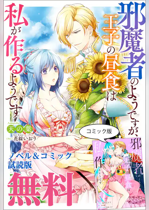 邪魔者のようですが、王子の昼食は私が作るようです