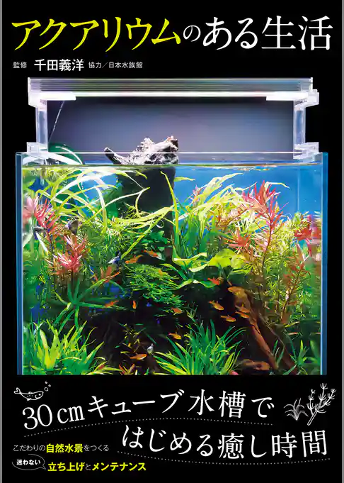 アクアリウムのある生活