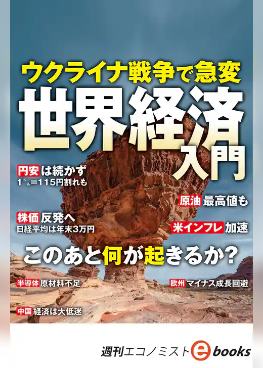 ウクライナ戦争で急変　世界経済入門（週刊エコノミストebooks）