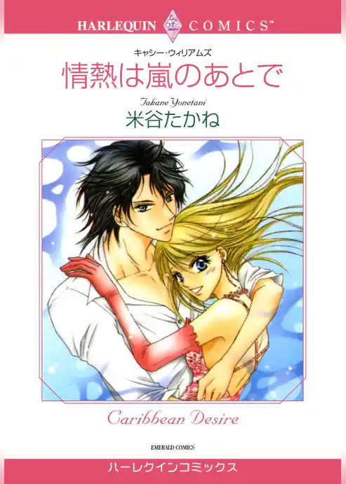 情熱は嵐のあとで【分冊】