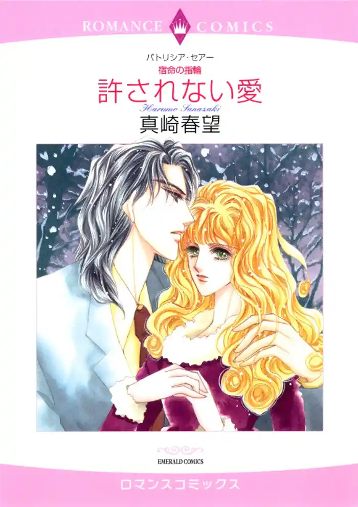 許されない愛【分冊】 12巻