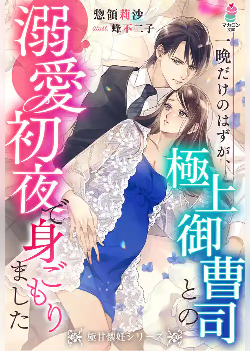 一晩だけのはずが、極上御曹司との溺愛初夜で身ごもりました【極甘懐妊シリーズ】