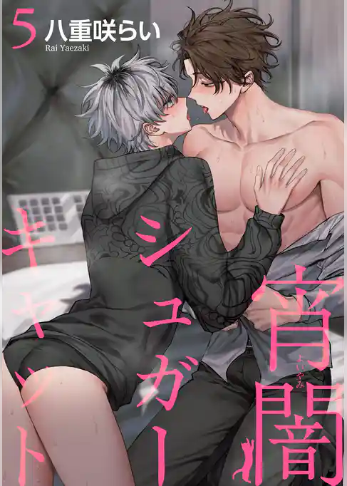 宵闇シュガーキャット 【短編】