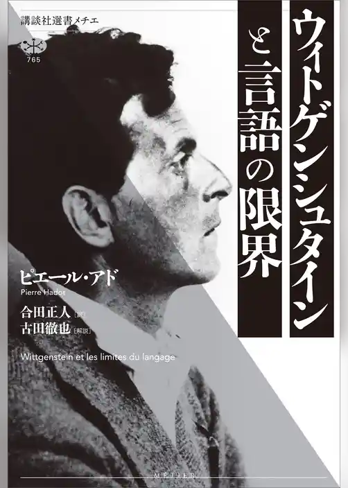 ウィトゲンシュタインと言語の限界