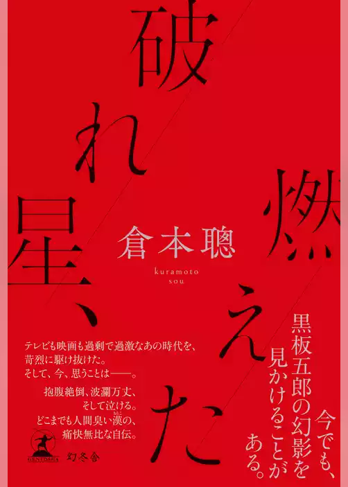 破れ星、