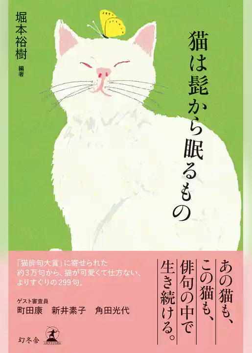 猫は髭から眠るもの