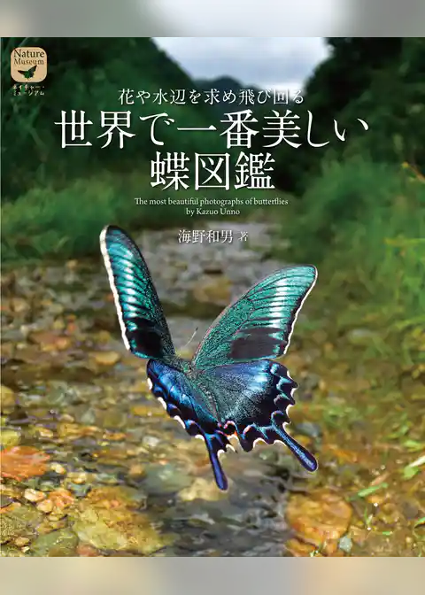 世界で一番美しい蝶図鑑：花や水辺を求め飛び回る